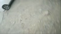 Ликан ИРЛ.mp4