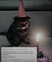 17190864886952.mp4