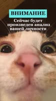 производим анализ.mp4