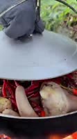17264759964360.mp4