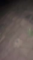 17511738924460.mp4
