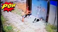 китайский дедушка.mp4
