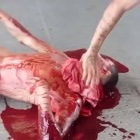video2025-07-0520-42-31.mp4