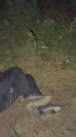 VID20250706001430632.mp4