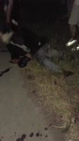 VID20250706001428019.mp4