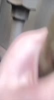 8282.mp4