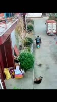17312326405801.mp4