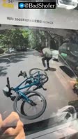 VID20250706005622296.mp4
