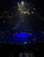 VID20250706010143660.mp4