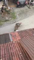 VID20250706012057223.mp4