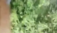 VID20250706013848537.mp4