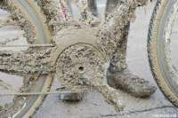 IMG8577.webp
