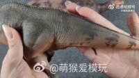 #shantungosaurus httpst.coqJuGY4OjNL.mp4