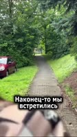 171878416724027804245e4e54d606x1080.webm