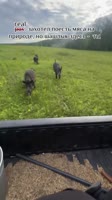 17224956032593451653a6b25ec1080x1920.mp4