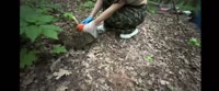 Пориджи и консерва.mp4