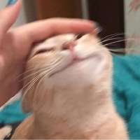 12648348348image.png