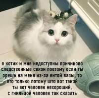 1746571156357.jpg