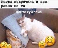 17520388289873.jpg