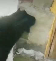 Саня, здоров.mp4