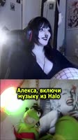 0197843725.webm