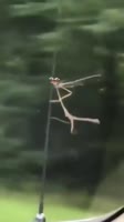 16940411695570.mp4