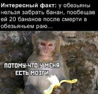 17519755111140[1].png