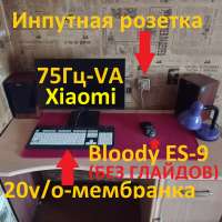 IMG20250310092601.jpg