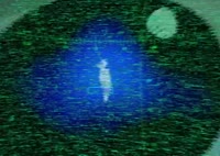 SKY H1 X NUNU - I THINK LOUD (WHY BE BLEND) X SERIAL EXPERIMENTS LAIN X AMVAR.mp4