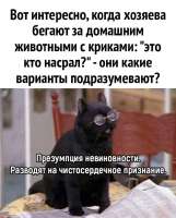 170845297312046821.jpg