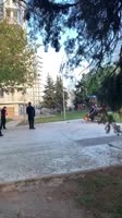 подстреленная псина скулит.mp4