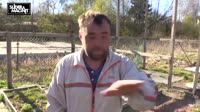 Slider  Magnit - Вообще пох! (Quarantine Song) (1).mp4