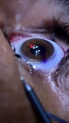 C049BE2D-DCBF-4FE4-9507-309477B47D6F.mp4