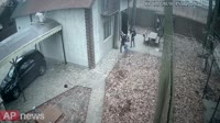 16083770316650.mp4