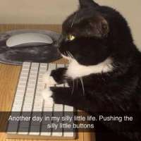 1752329091403.jpg