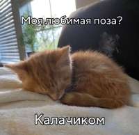 1752329091435.png
