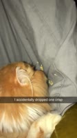H72kvaNxCvKYqGqAk8JcR2c38IEU.mp4