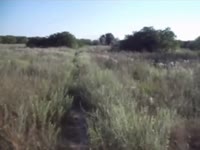 klMILwPsYACNFEkljX9aPtmg6C.mp4