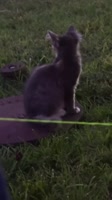 dxbqCaOZBssCc1C359iLZgHmJj0.mp4