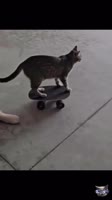 88372777272.mp4
