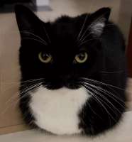 17502582126950.jpg