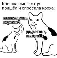 59795252.jpg