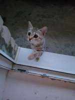 IMG-20250704-WA0005.jpg