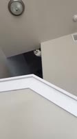 qWF9ewclq3ttvNTNXsm2w5uTlWE.mp4