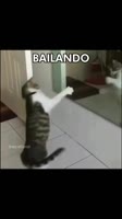 1752406267313.mp4