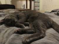 IMG20250713232351.jpg