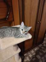IMG-20250704-WA0003.jpg