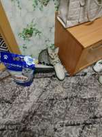 IMG-20250704-WA0002.jpg