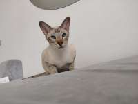 IMG20250711140652.jpg