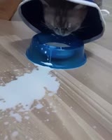 16501266231592.mp4